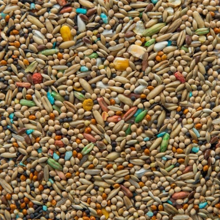 Ralph Moore RM Vita Budgie (40LB)