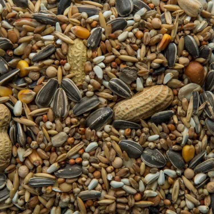 Ralph Moore RM Parrot Mix  (40lb)