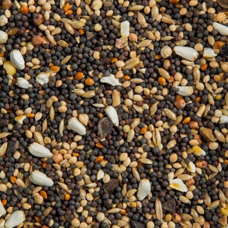 Ralph Moore RM Soak Seed Mix (per LB) 179