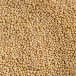 Ralph Moore Millet Loose White (1 lb) 204
