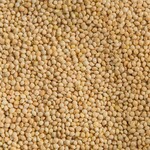 Topcrop Topcrop White Millet (40LB)