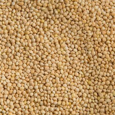 Topcrop Topcrop White Millet (40LB)