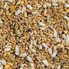 Ralph Moore RM Cockatiel & Lovebird No Sunflower (40LB)