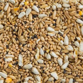 Ralph Moore RM Cockatiel & Lovebird No Sunflower (40LB)