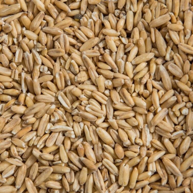Ralph Moore Oat Groats (1LB) 203