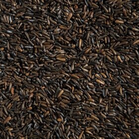 Ralph Moore RM Nyjer Seed (1LB) 266