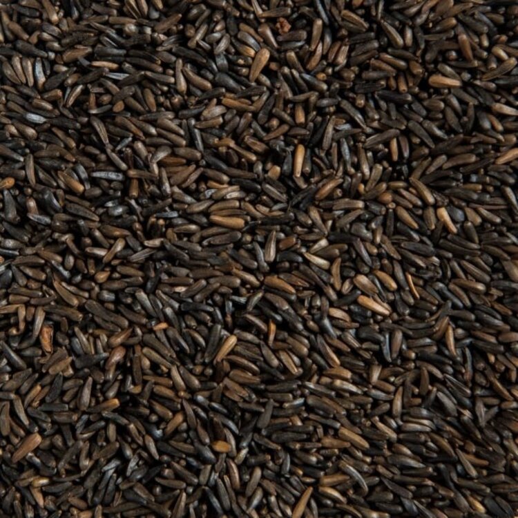 Ralph Moore RM Nyjer Seed (1LB) 266
