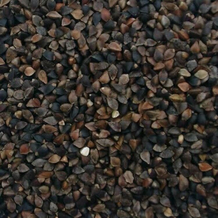 Ralph Moore RM Buckwheat  (1LB) 201