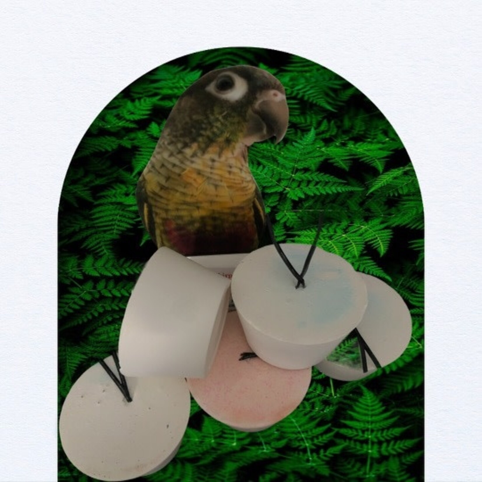 Broody Bird Broody Bird Calcium Block Large