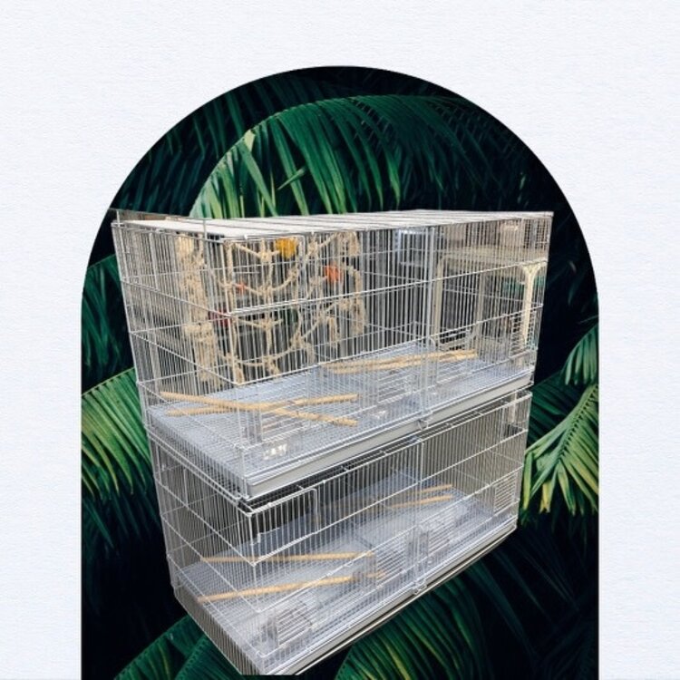 Glitter Pets GP Stackable Breeding Cage BR09  (Set of 2 cages) 36 x 18 x 18