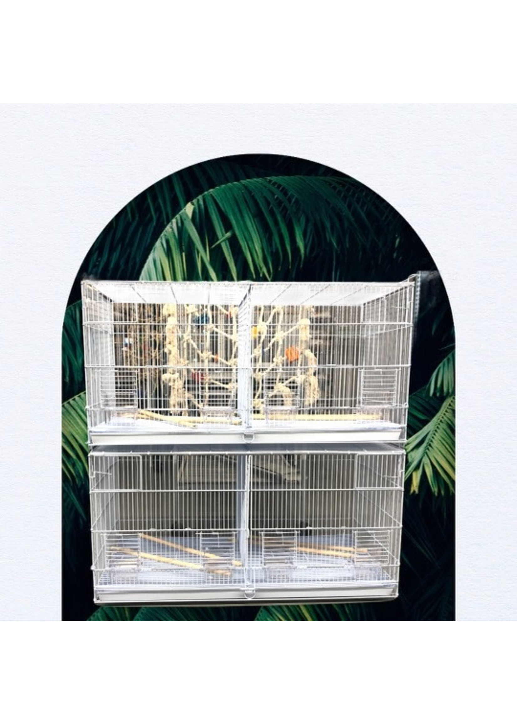 Glitter Pets GP Stackable Breeding Cage BR09  (Set of 2 cages) 36 x 18 x 18