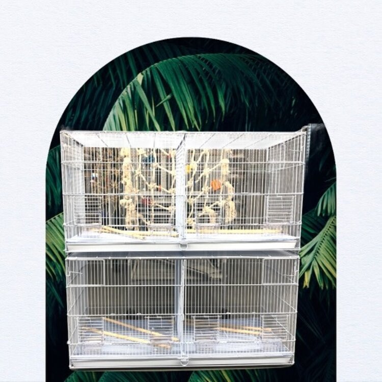 Glitter Pets GP Stackable Breeding Cage BR09  (Set of 2 cages) 36 x 18 x 18