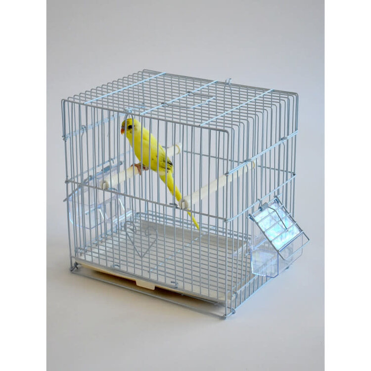 Small Bird Travel Carrier TC02