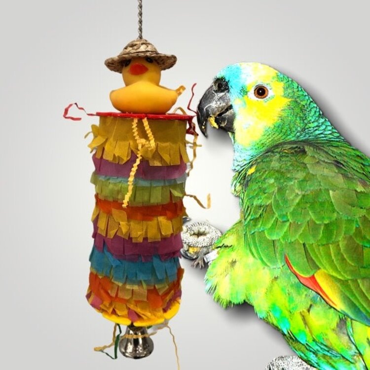 Jolly Jungle GP  PINATA PARROT BIRD TOY WITH RUBBER DUCK A663