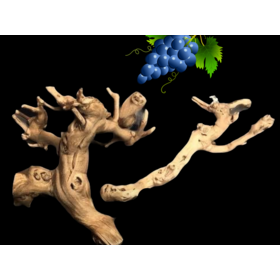 Bonkers Bonkers Grapewood Perch Large, Assorted Shapes