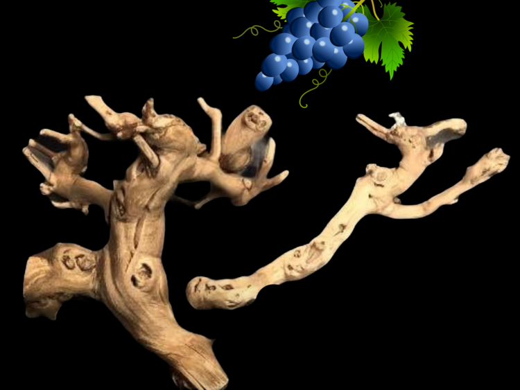 Bonkers Bonkers Grapewood Perch Large, Assorted Shapes