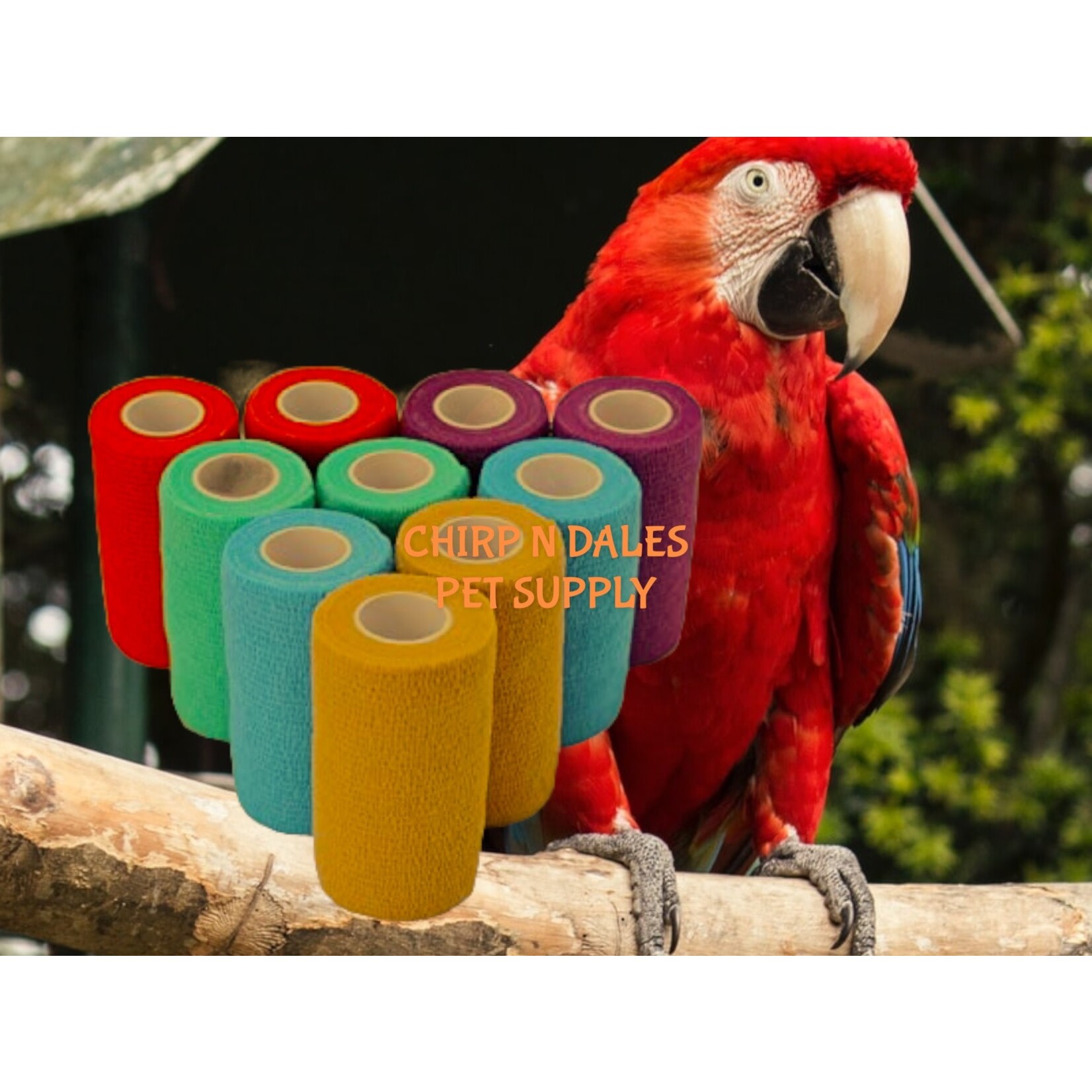 Chirp N Dales Vet Wrap  4"  3M Assorted Colors 325