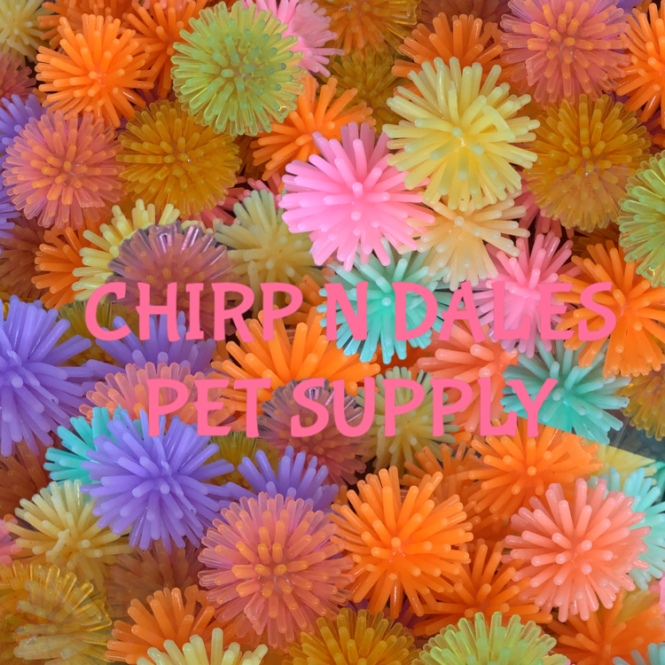 Chirp N Dales Porcupine Balls