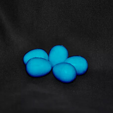 Kings Cages Kings Plastic Eggs for Canaries & Finches