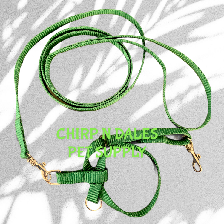 Premier Feather Tether Bird Harness and Leash Small Green
