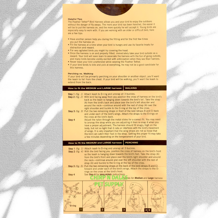 Premier Feather Tether Bird Harness and Leash Small Green