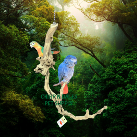 Bonkers Bonkers Hanging Grapewood Swing Medium, Assorted Shapes