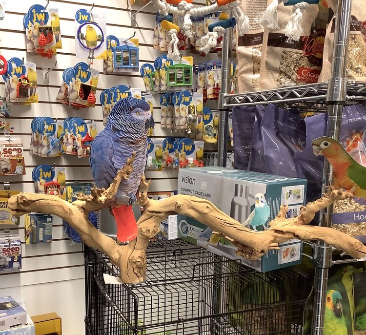 Bonkers Bonkers Grapewood  Cage Top Perch Med/Large, Assorted Shapes