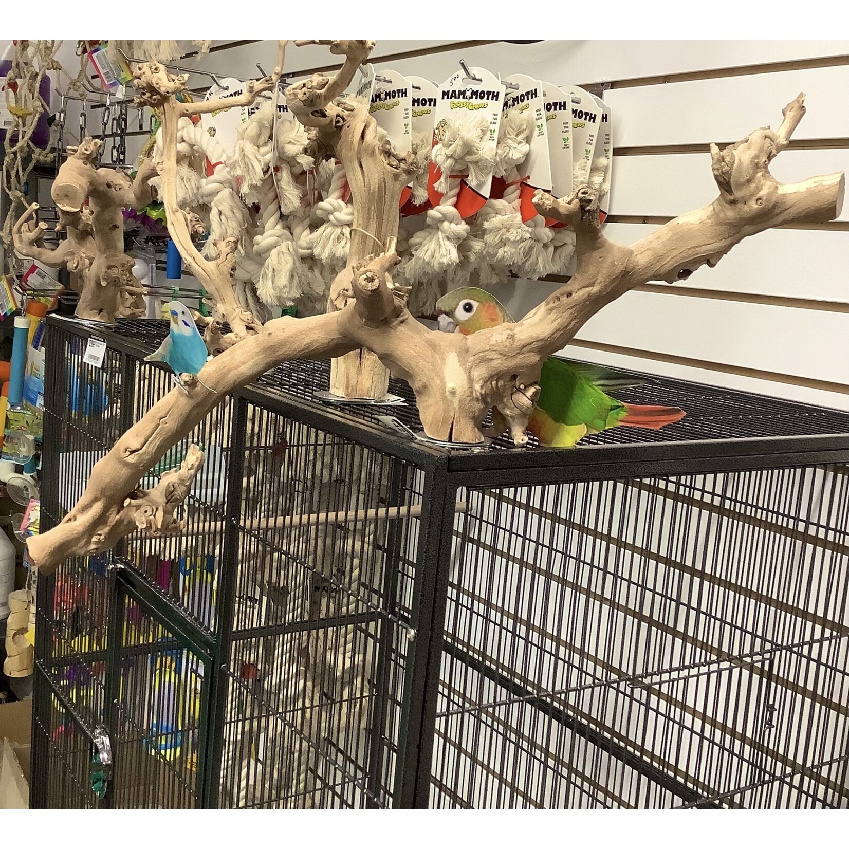 Bonkers Bonkers Grapewood  Cage Top Perch Med/Large, Assorted Shapes