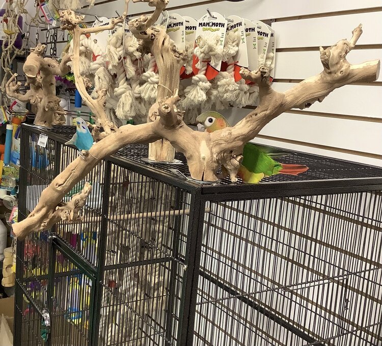 Bonkers Bonkers Grapewood  Cage Top Perch Med/Large, Assorted Shapes
