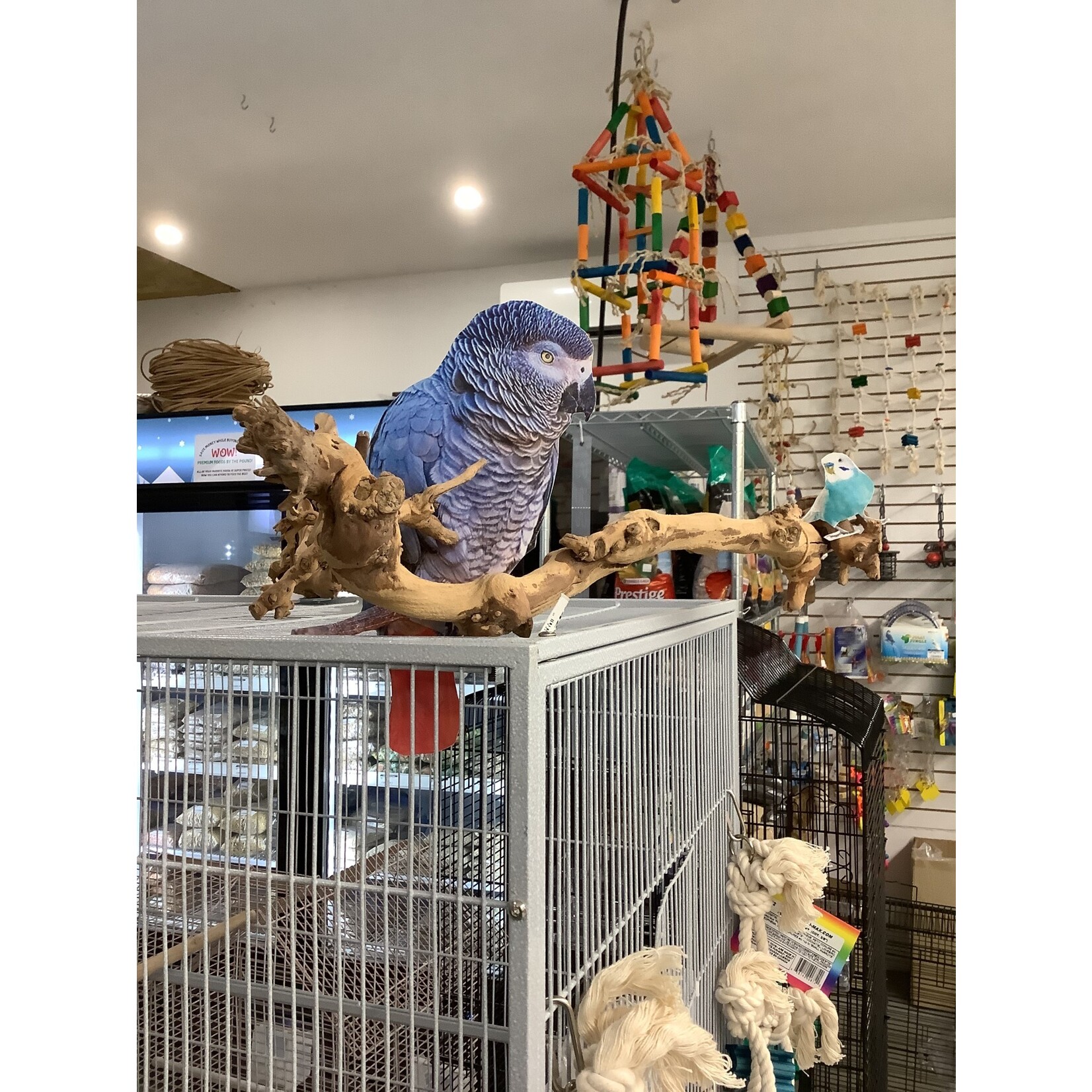 Bonkers Bonkers Grapewood  Cage Top Perch Med/Large, Assorted Shapes