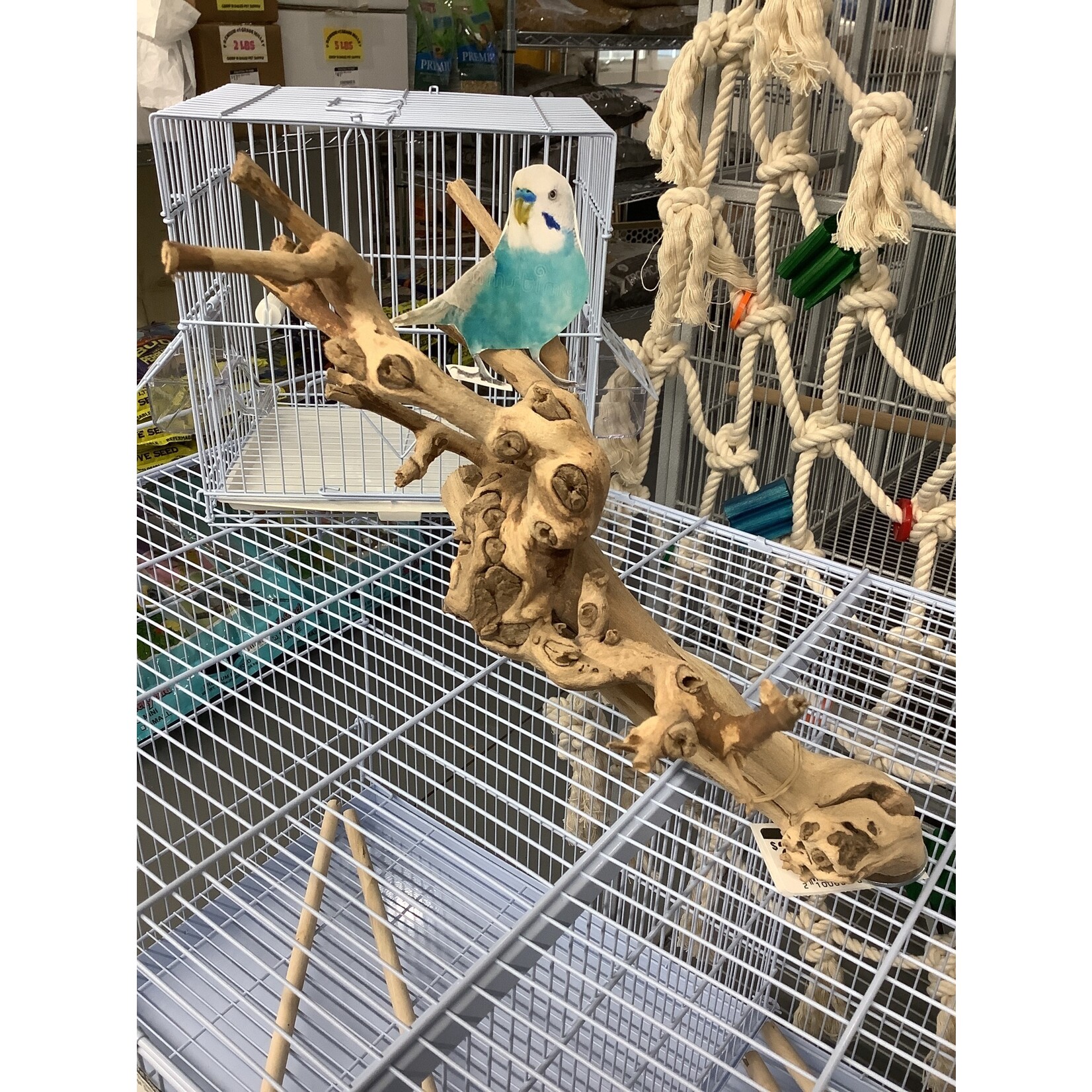 Bonkers Bonkers Grapewood Cage Top Perch Small/Medium, Assorted Shapes