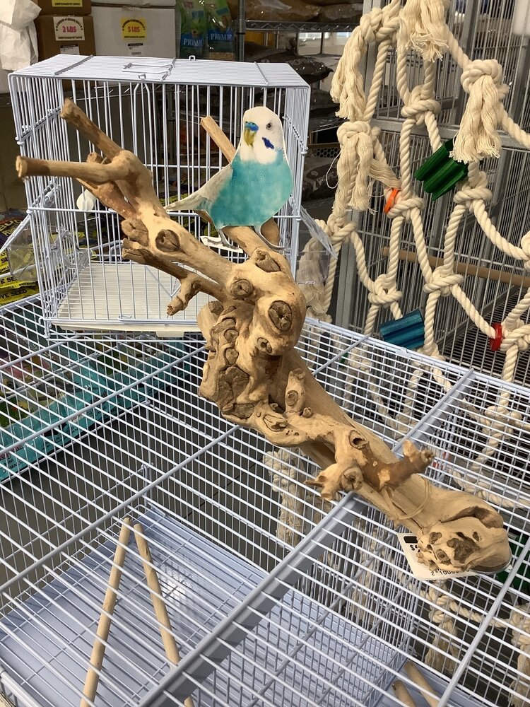 Bonkers Bonkers Grapewood Cage Top Perch Small/Medium, Assorted Shapes