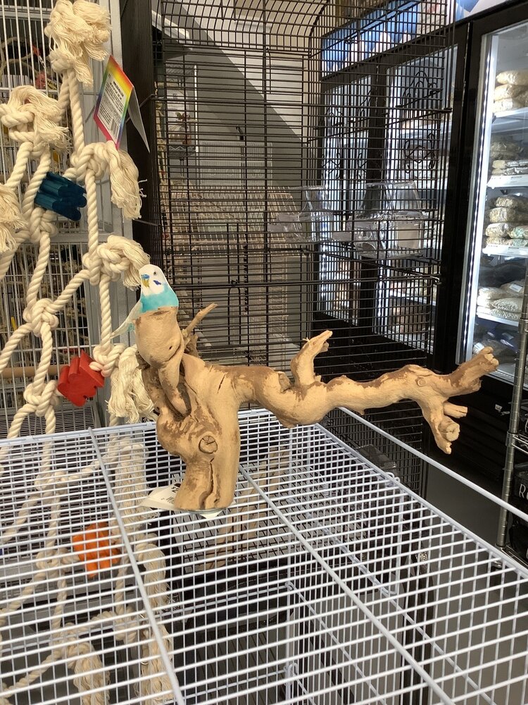 Bonkers Bonkers Grapewood Cage Top Perch Small/Medium, Assorted Shapes