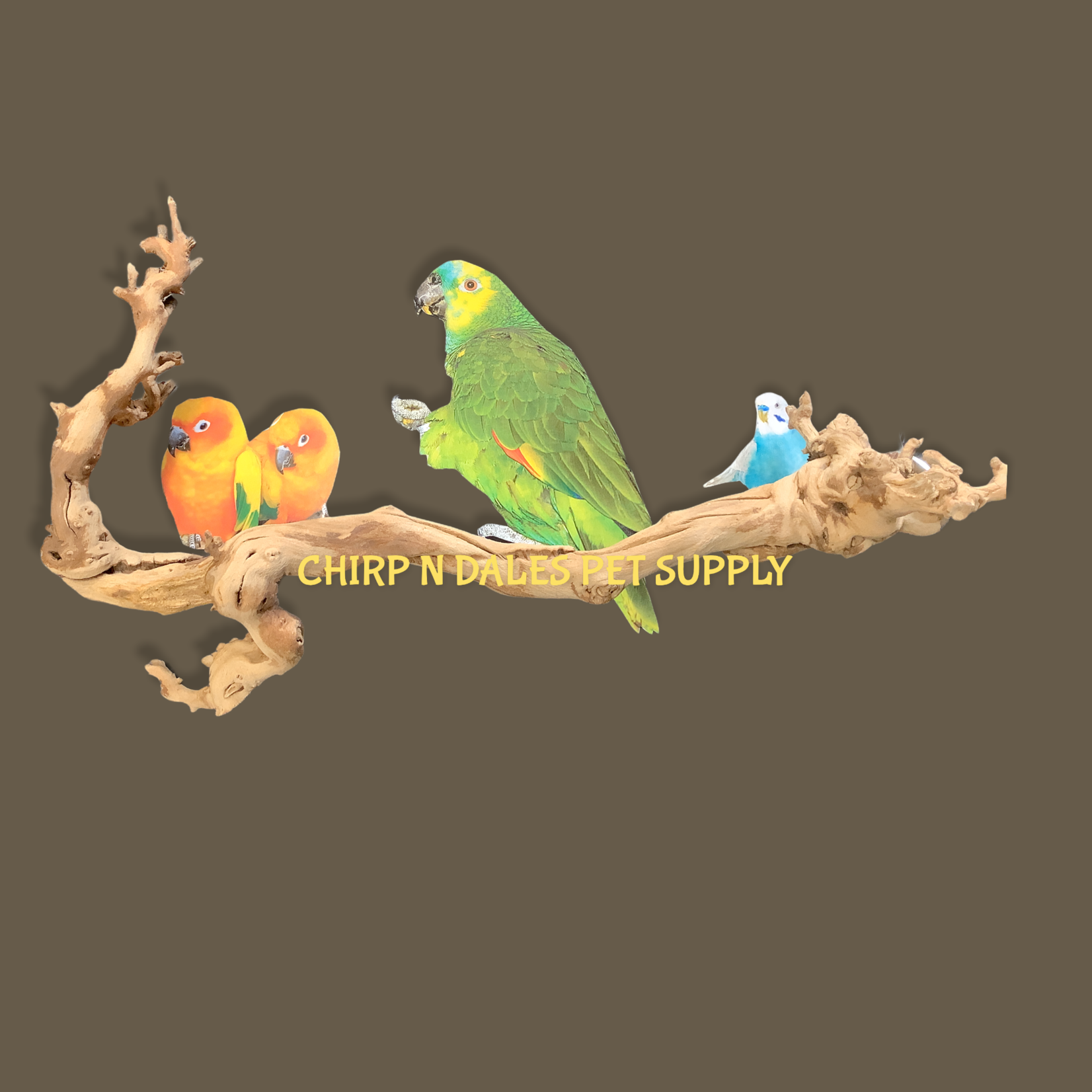 Bonkers Bonkers Grapewood Perch Large, Assorted Shapes