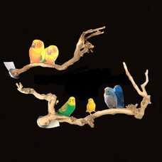 Bonkers Bonkers Grapewood Perch Small,  Assorted Shapes