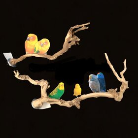 Bonkers Bonkers Grapewood Perch Small,  Assorted Shapes