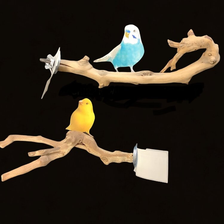 Bonkers Bonkers Grapewood Perch XS, Assorted Shapes