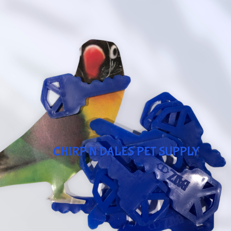 Chirp N Dales Plastic Key 2''