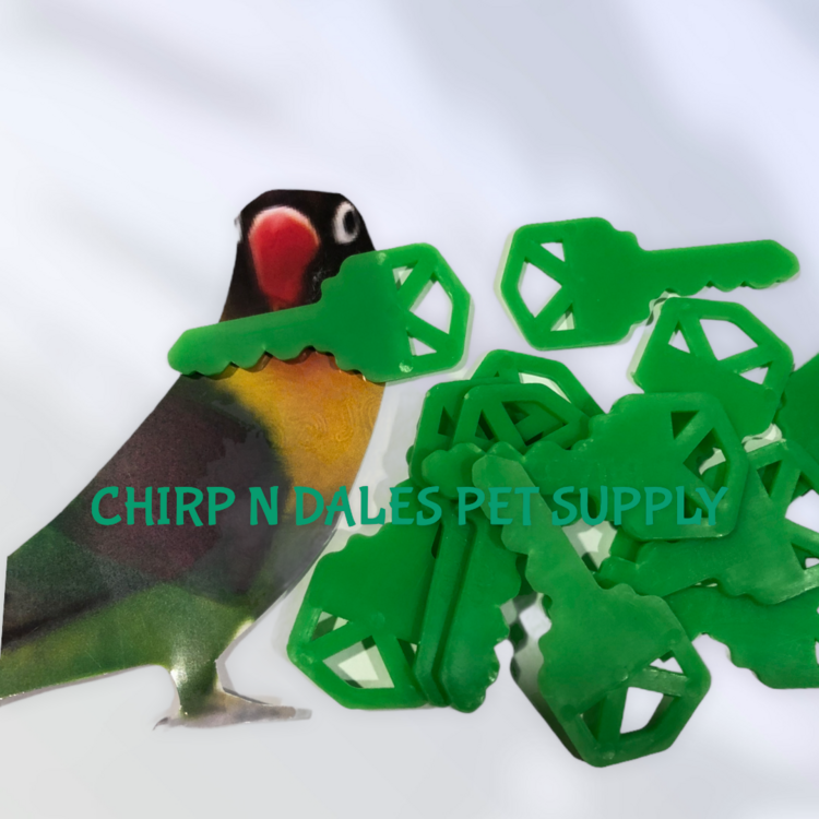 Chirp N Dales Plastic Key 2''