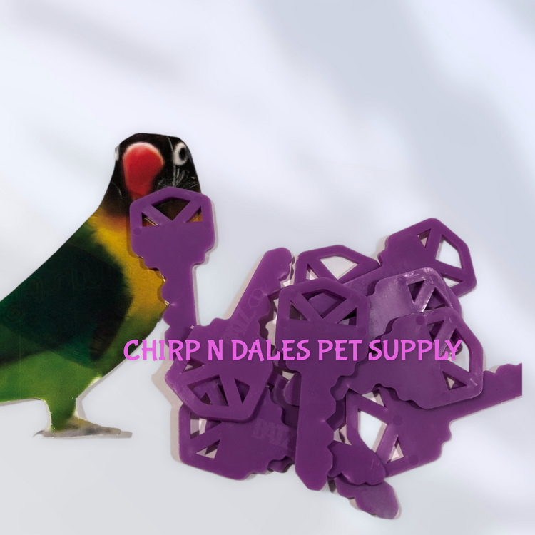 Chirp N Dales Plastic Key 2''