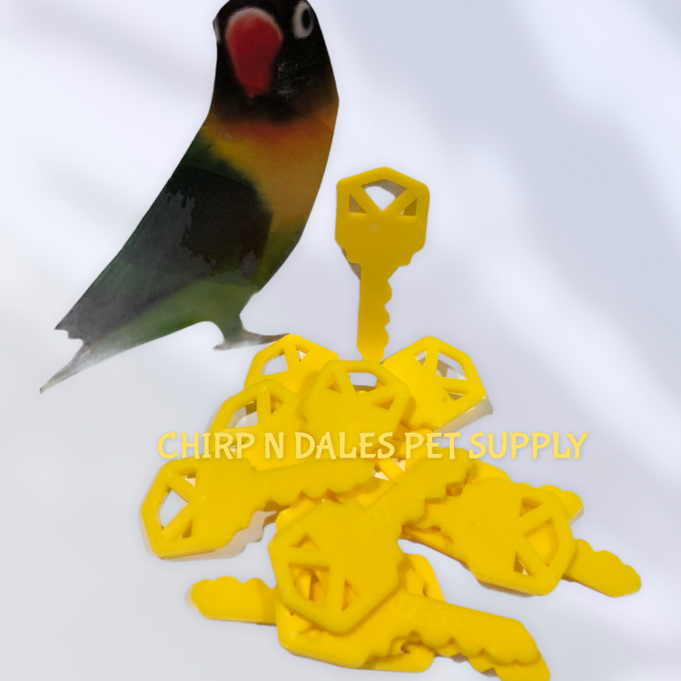 Chirp N Dales Plastic Key 2''