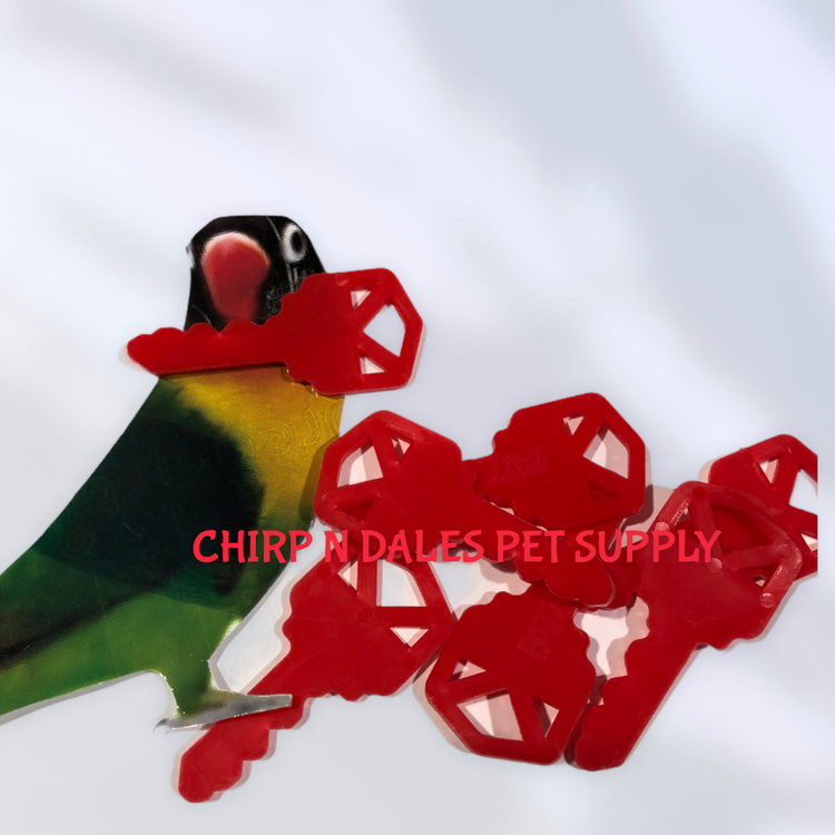 Chirp N Dales Plastic Key 2''