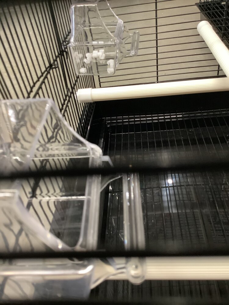 Beaks Beaks Cockatiel/Conure 19x14x23 inch Elegant Dome Top