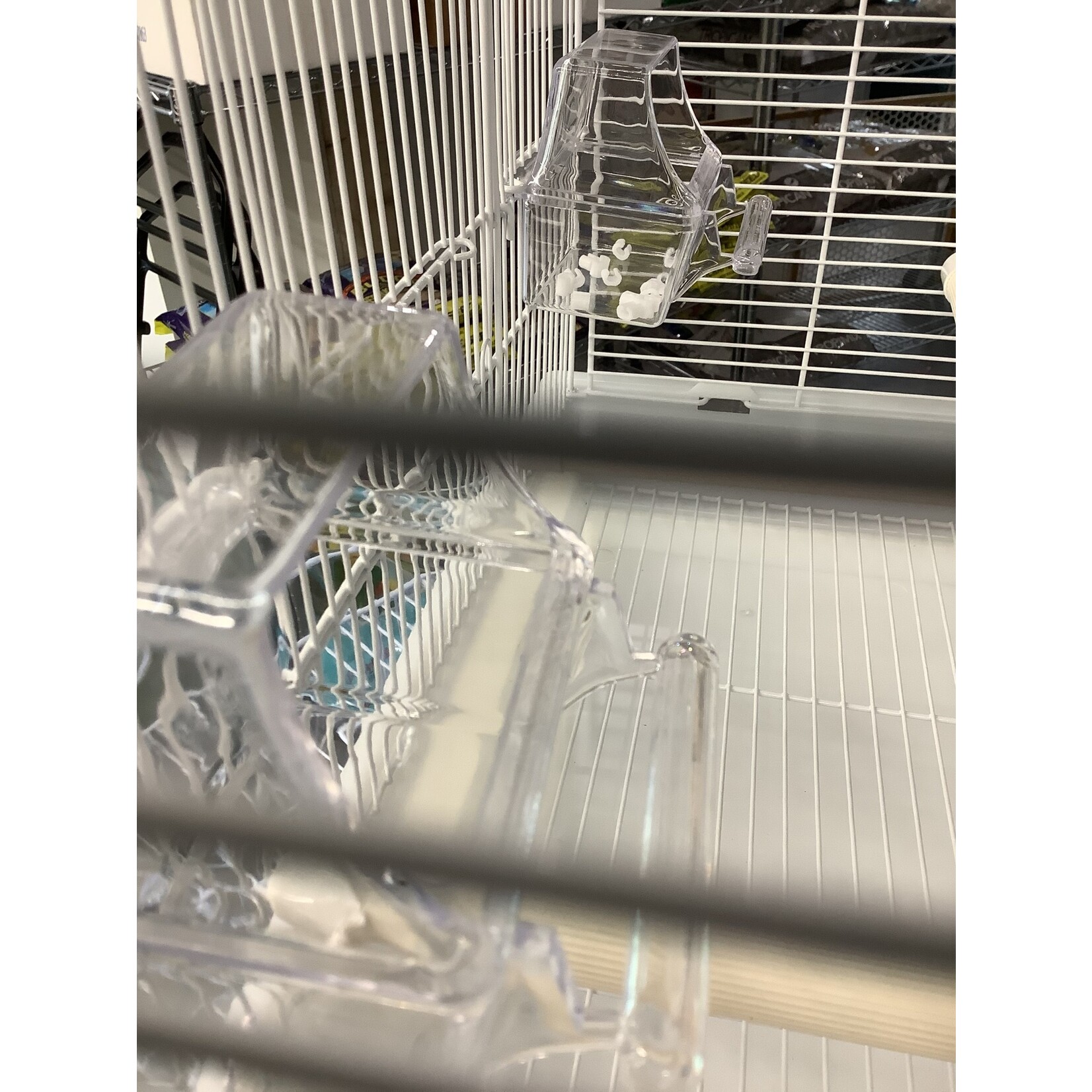 Beaks Beaks Cockatiel/Conure 19x14x23 inch Elegant Dome Top