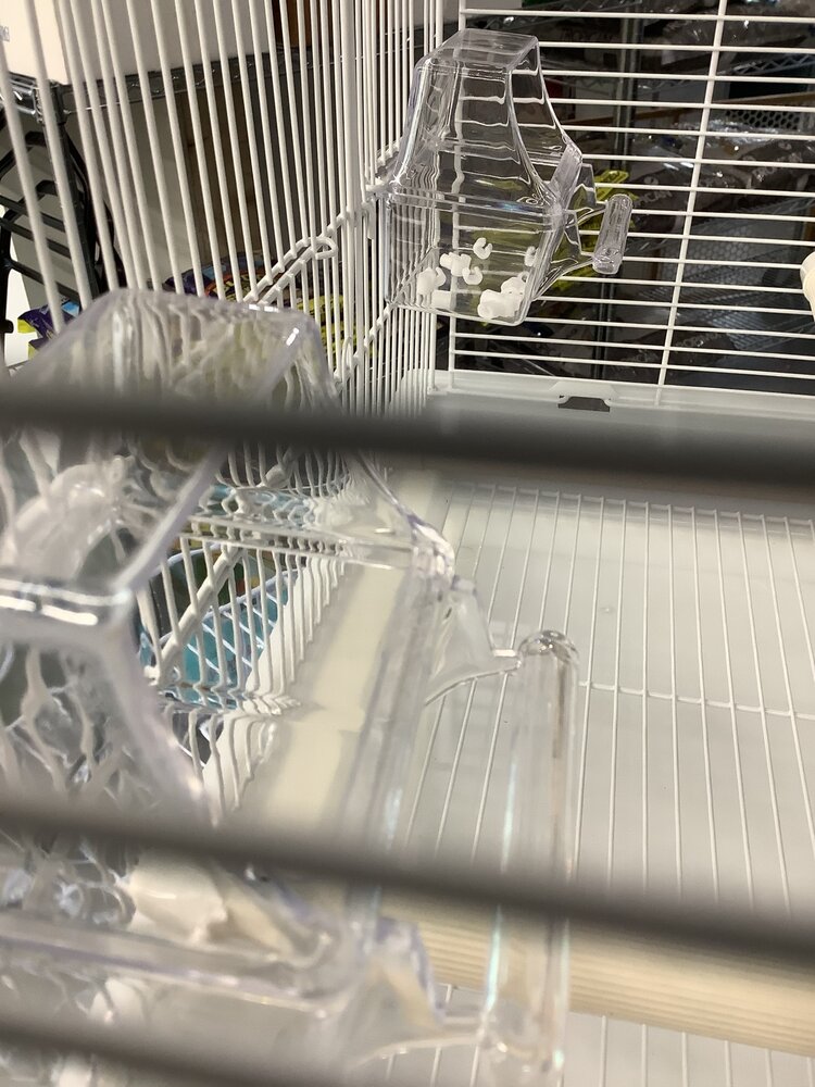 Beaks Beaks Cockatiel/Conure 19x14x23 inch Elegant Dome Top