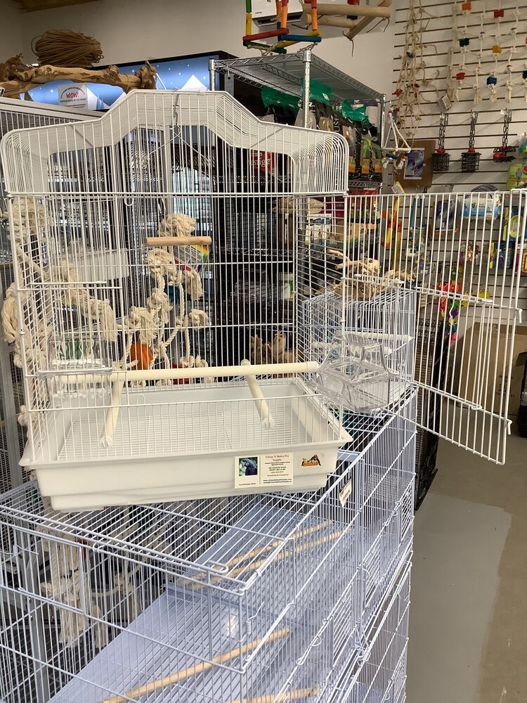 Beaks Beaks Cockatiel/Conure 19x14x23 inch Elegant Dome Top