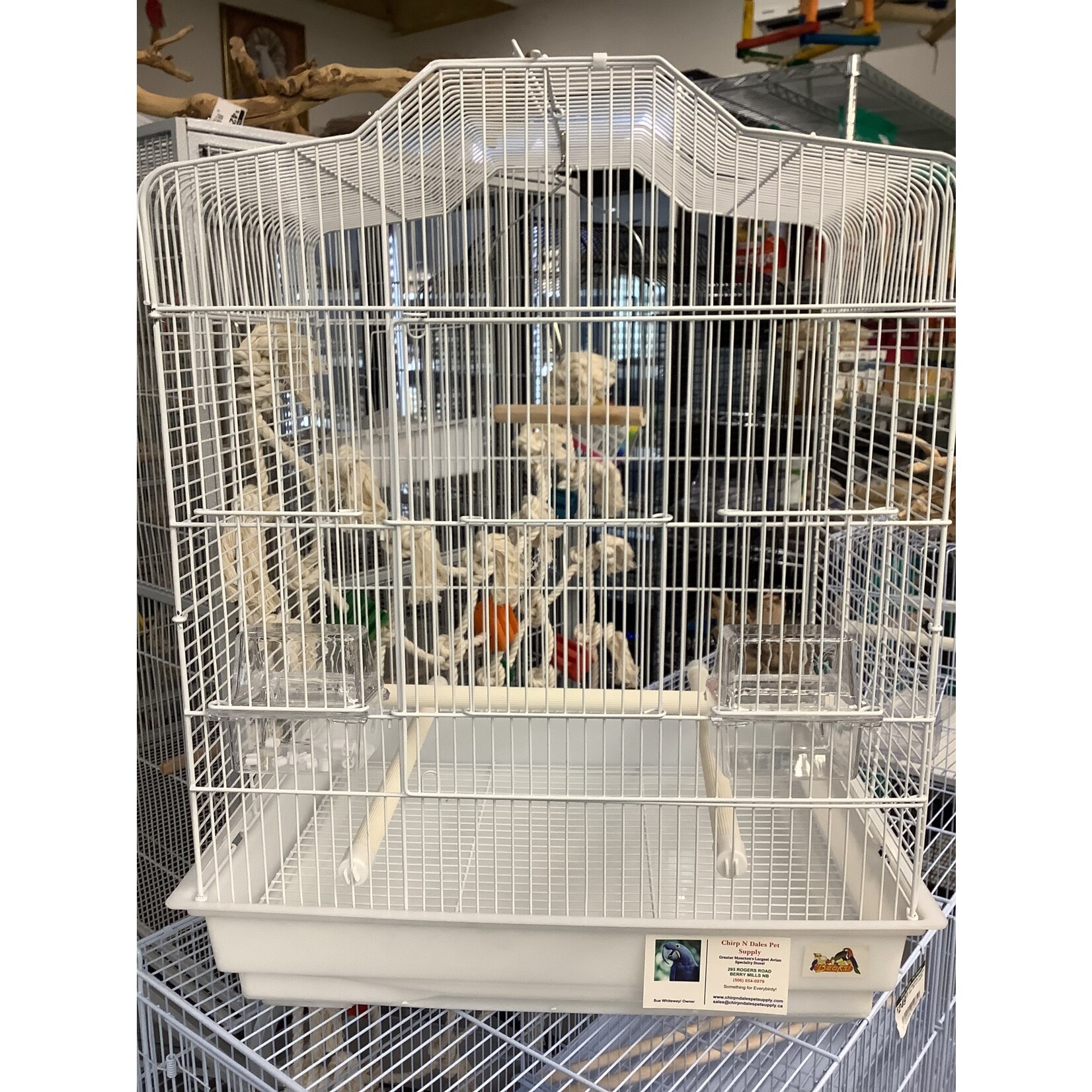 Beaks Beaks Cockatiel/Conure 19x14x23 inch Elegant Dome Top