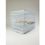 Glitter Pets GP Travel Cage Collapsible 2607-1