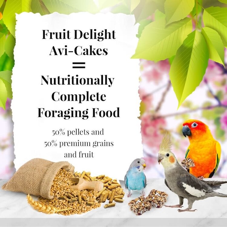 Lafeber's Lafeber Fruit Delight Avi-Cakes for Small Birds 8oz