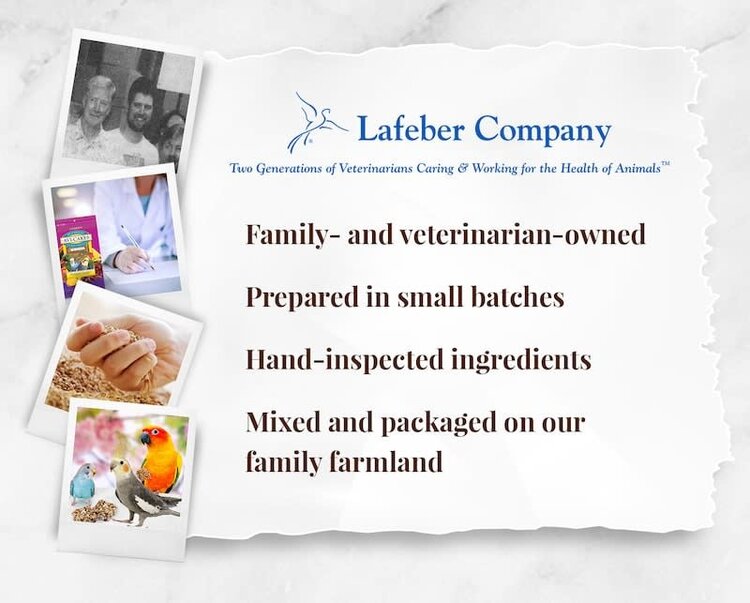 Lafeber's Lafeber Fruit Delight Avi-Cakes for Small Birds 8oz